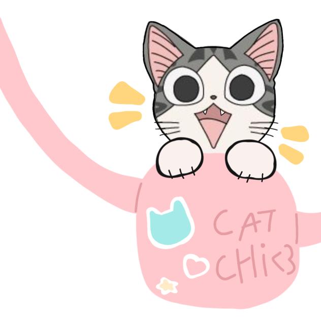 cat chi t-shirts Roblox!