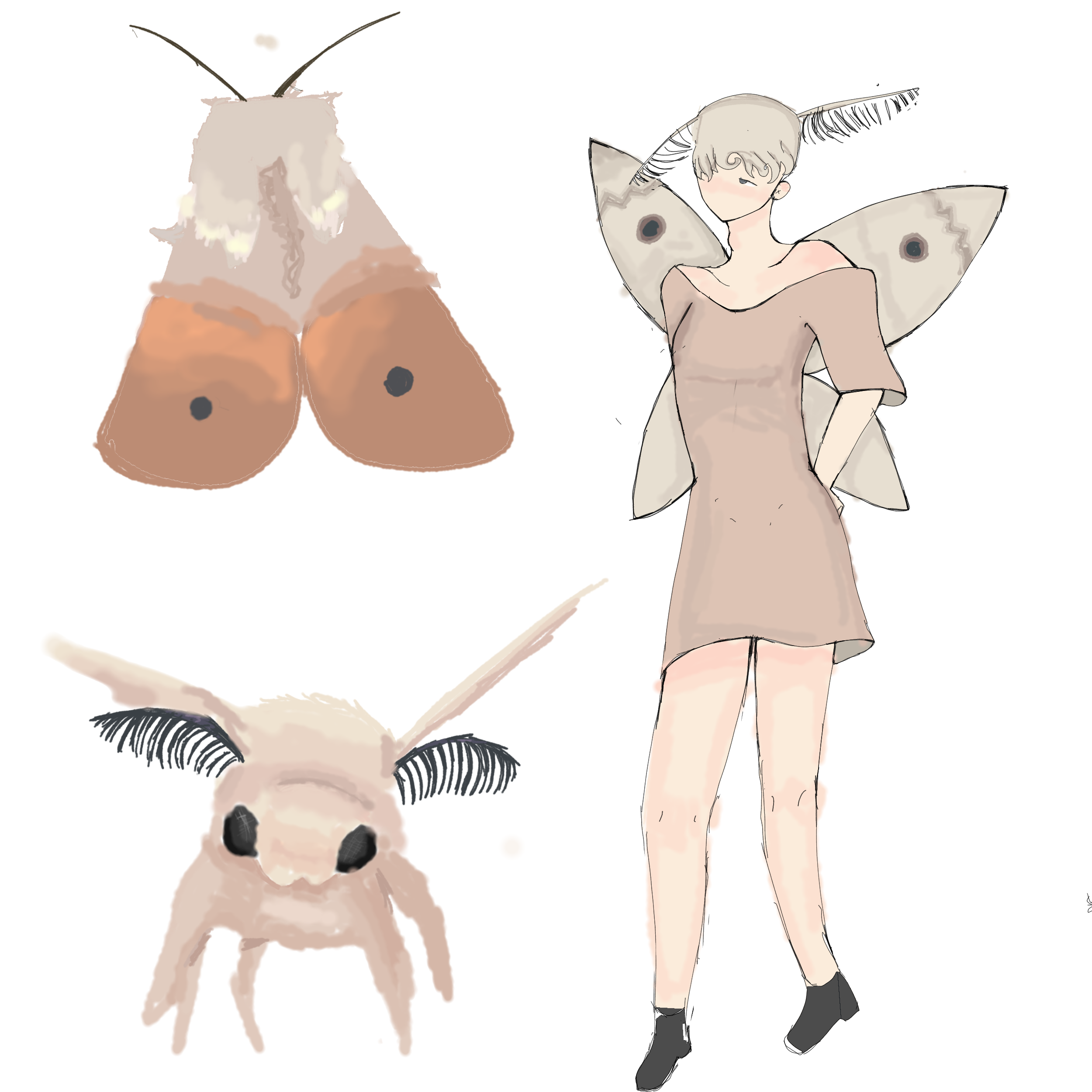 MOTH - ibisPaint
