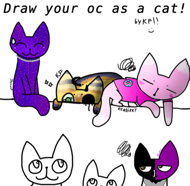 cats collab