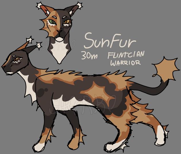 Silly SunFur ref💔💔💔