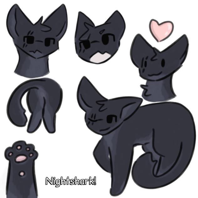 Nightshark! (Bio in description⬇️)