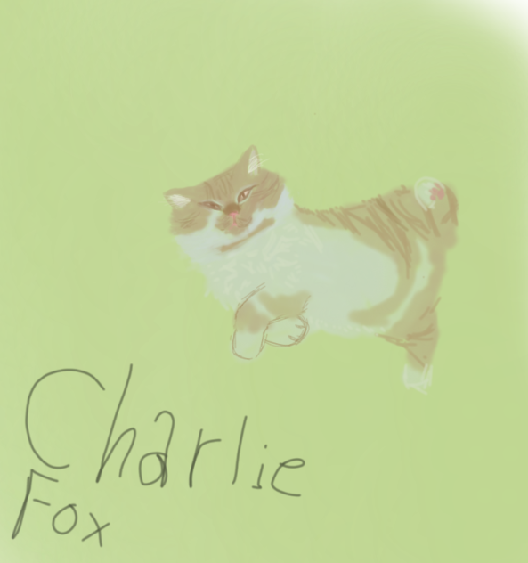 my cat - ibisPaint