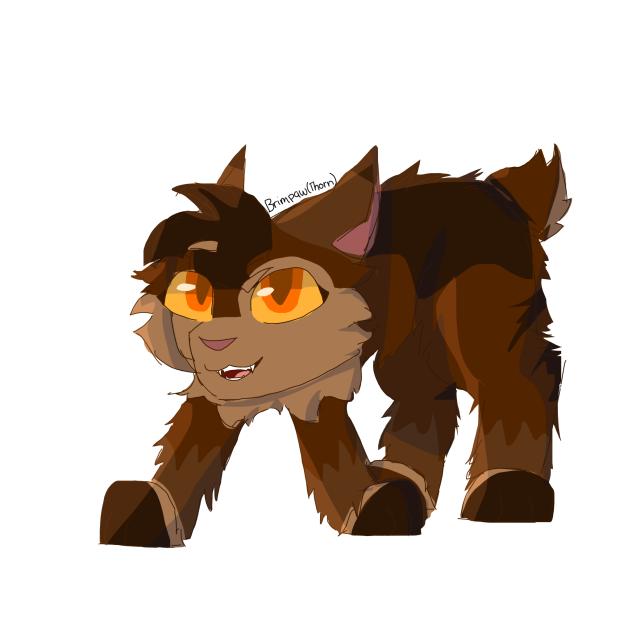 Brimpaw [Thorn]