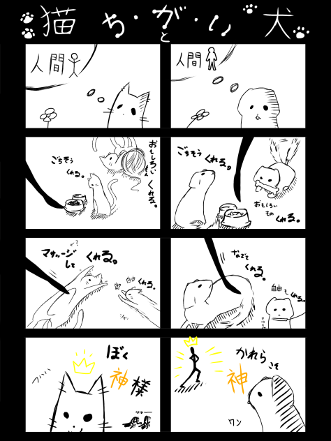 猫と犬の違い(´ω｀)