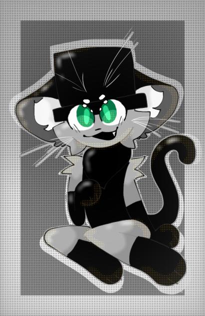 enzo as a kitty 😺