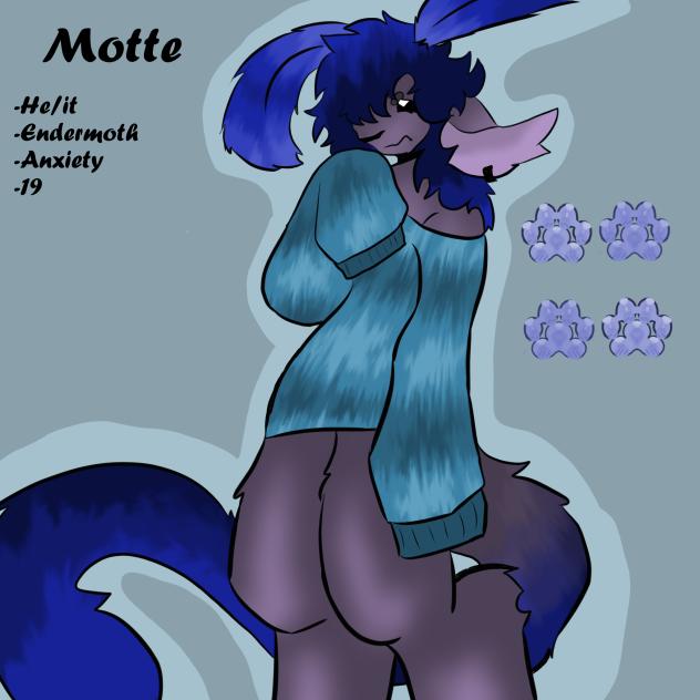 Motte