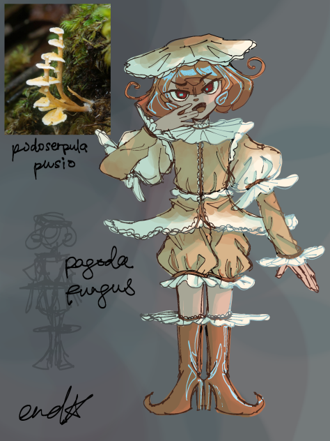 funguary 2023 day7; pagoda fungus