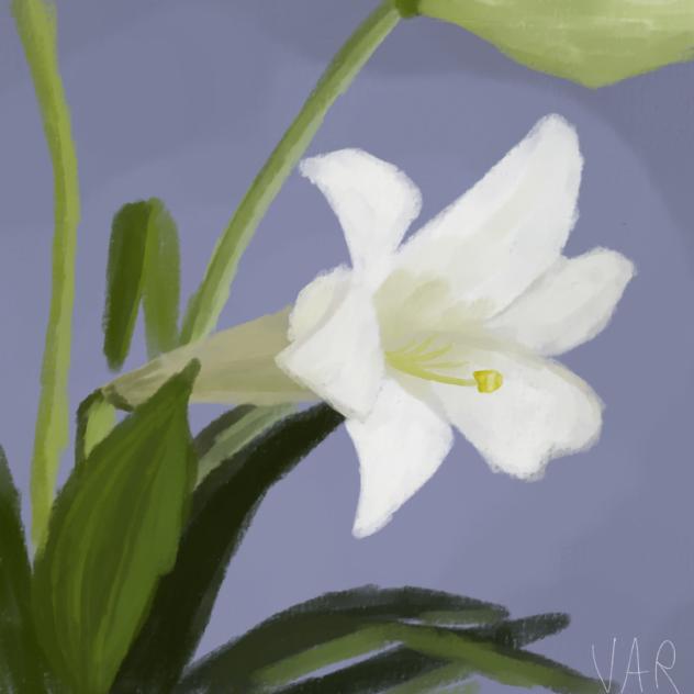 florecita🌱