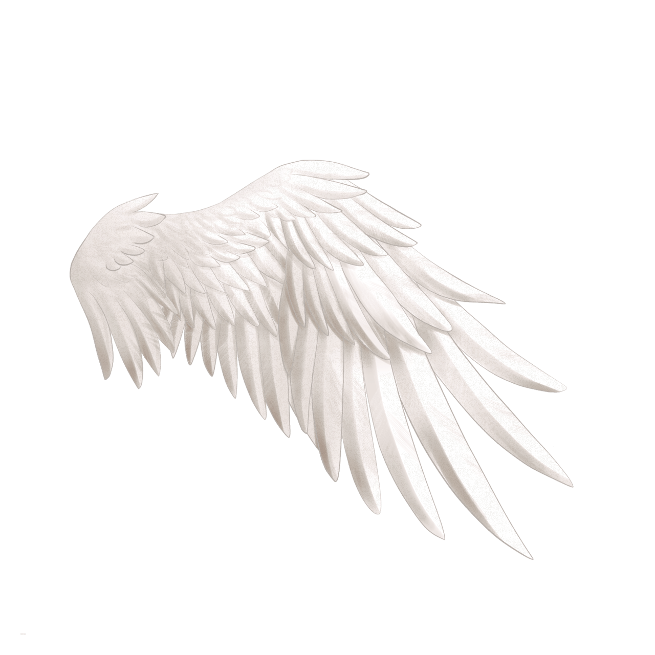 クォーツ ルース 天使の翼 image541460428.png