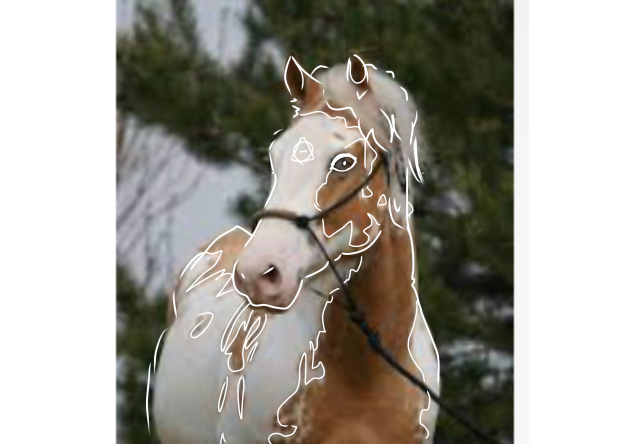 Paint horse for Minze_7