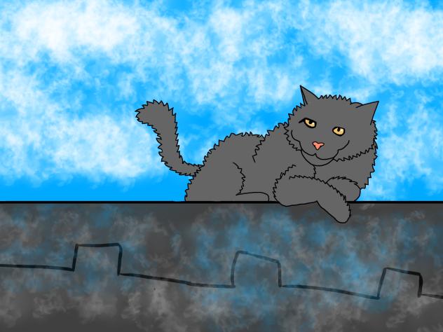 cat sketch