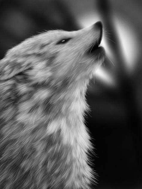 Full Moon