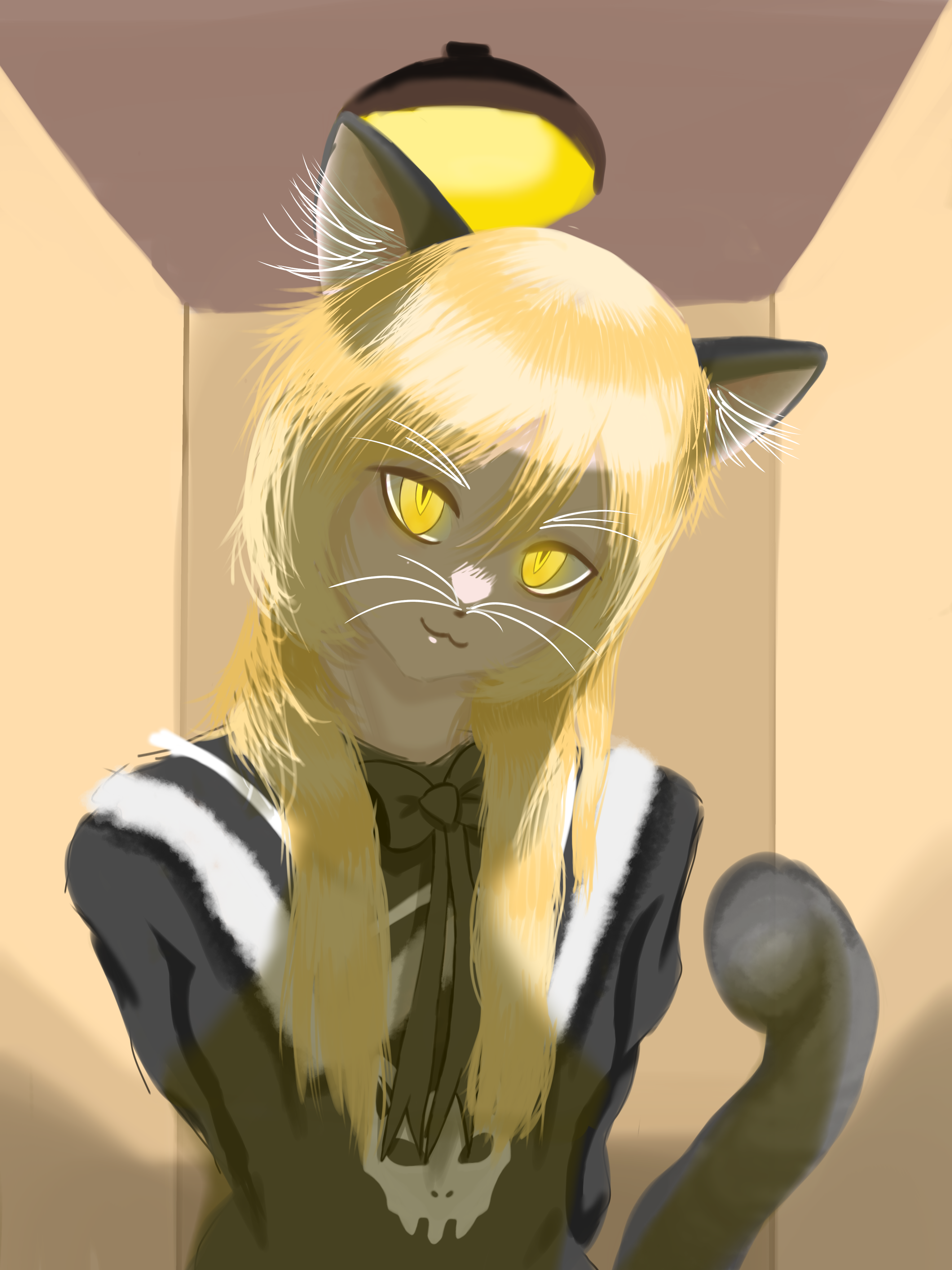 kitty 🐈 - ibisPaint