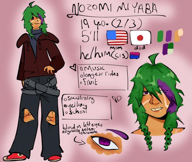 nozomi artfight ref