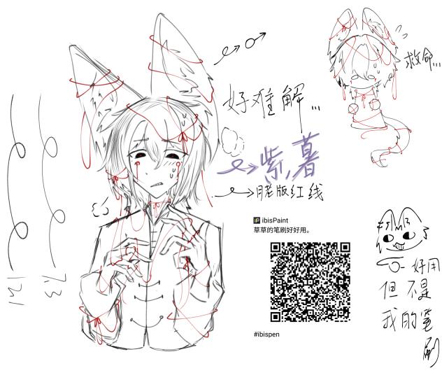 紫薯你的红线