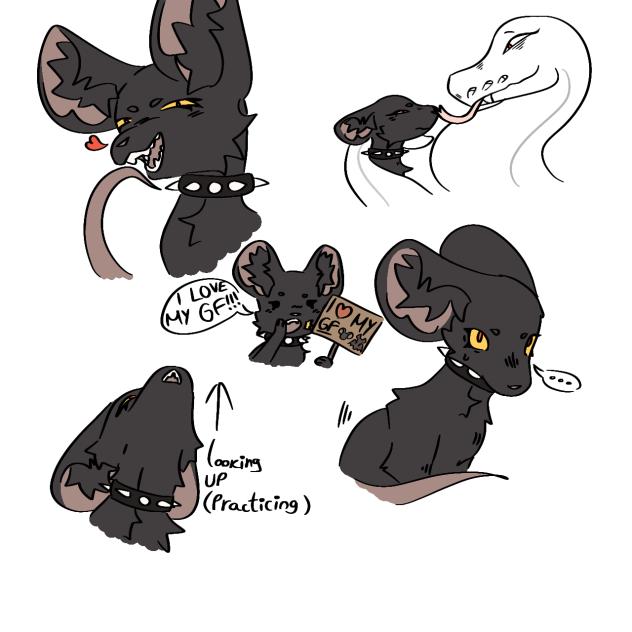 doodles