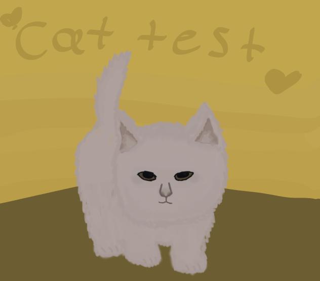🏵Cat test🏵