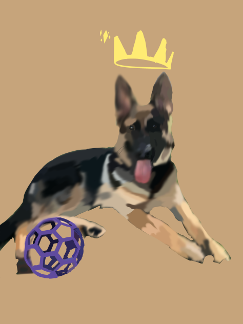 My Friends Dog - ibisPaint