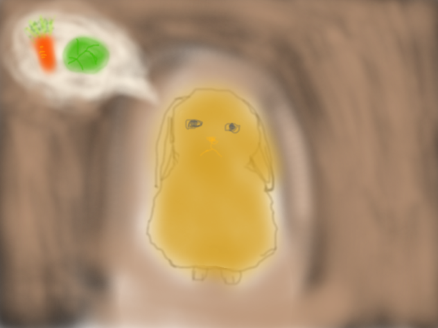 耳タレうさぎ⁉