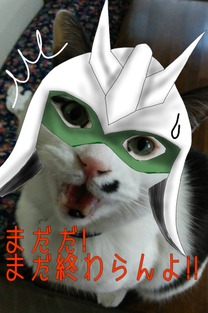 うちのニャアをシャアにしてみた。