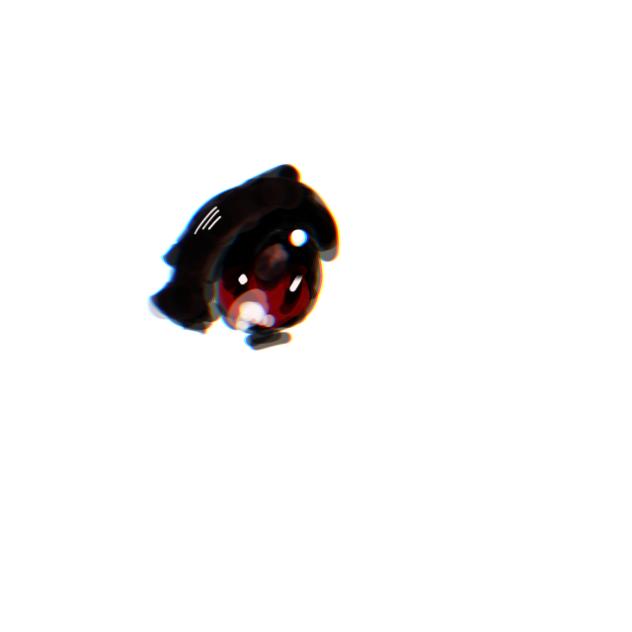 キランっ🌟👀