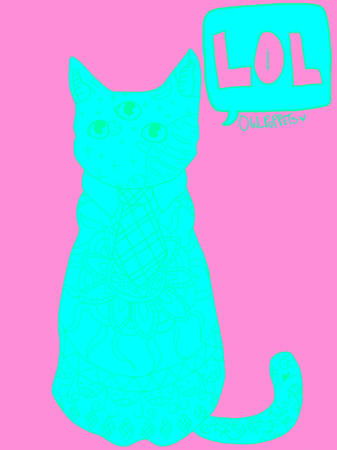 Cat