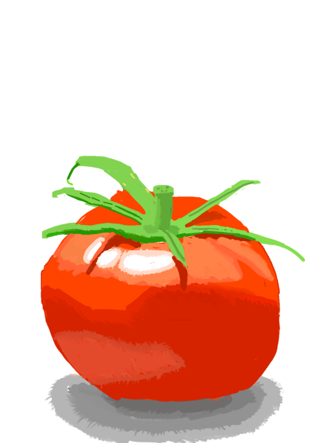 Drawing a Tomato #Shorts