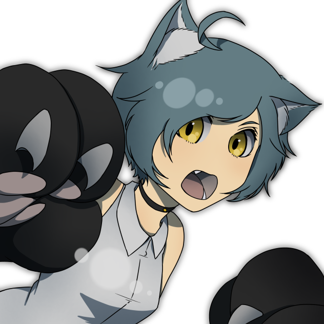 灯猫