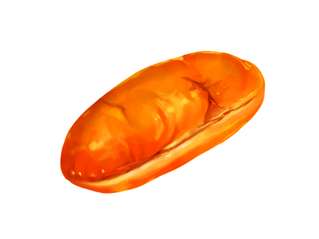 コッペパン（フリー）