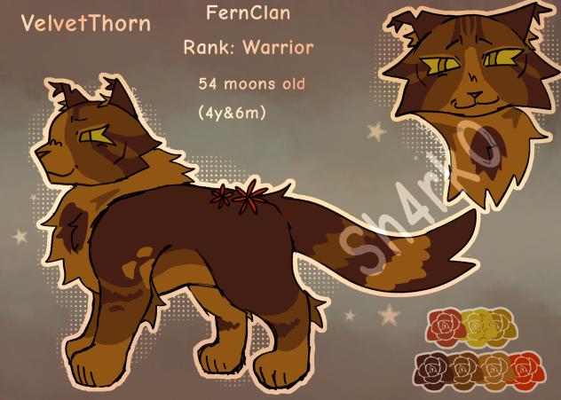 Warrior cats oc ref 6