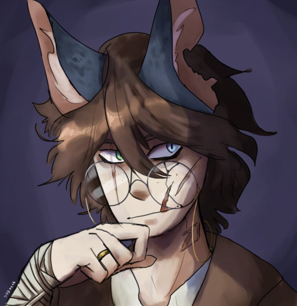 Make assumptions about my oc