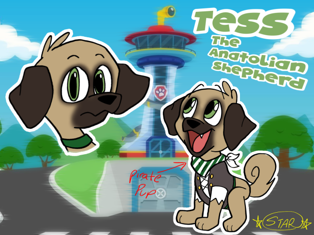 Tess My Paw Patrol oc #1