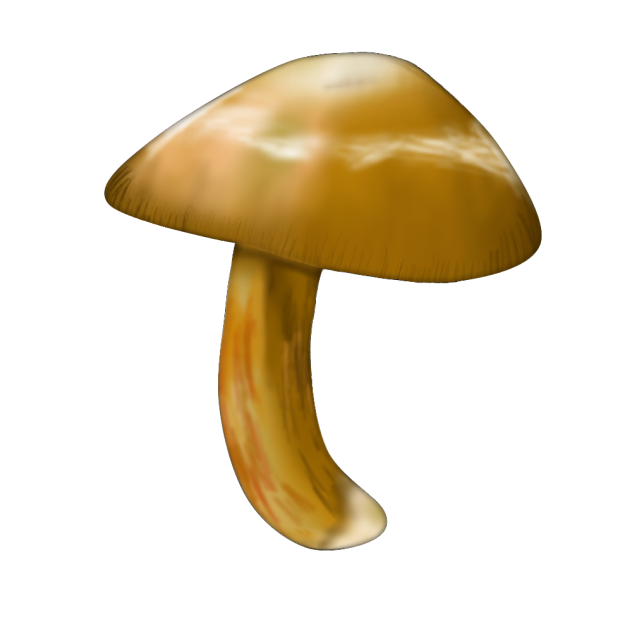 無題152