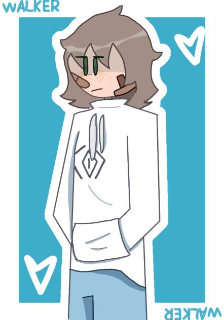 WALKER REDESIGN.