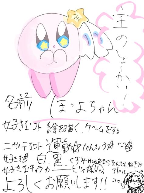 多分ちゃんとした紹介(？)