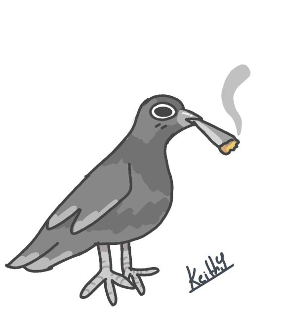 Dibujo random