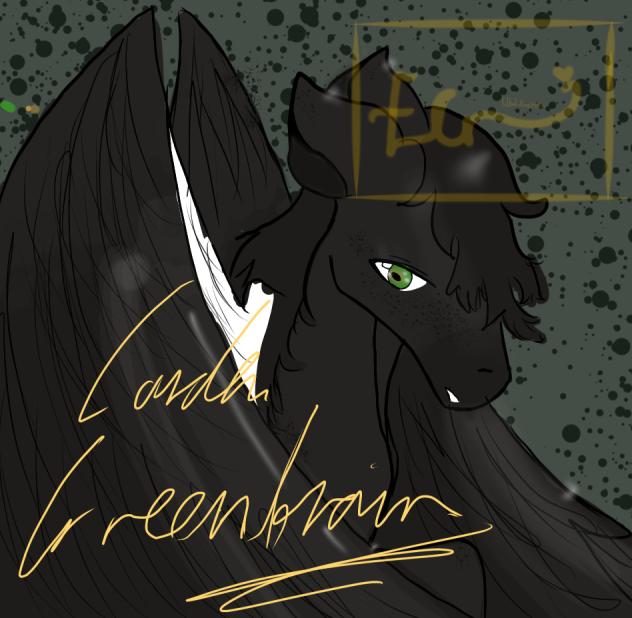 FA for echo again 🤗