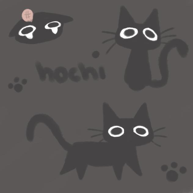 Hochiii
