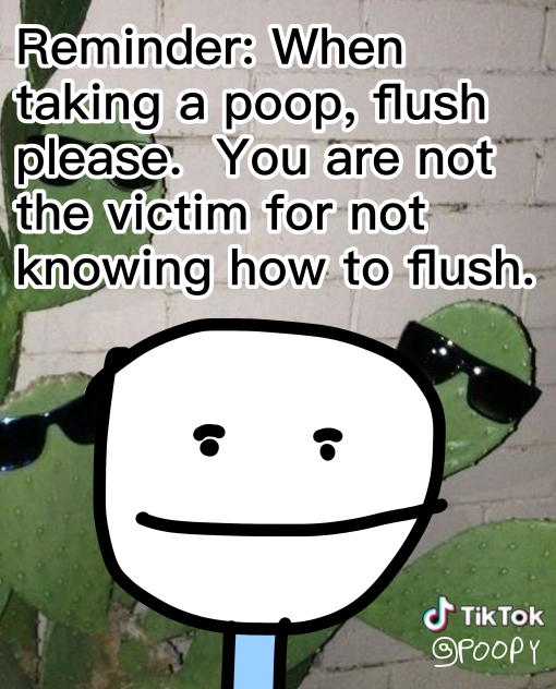 TikTok advice be like