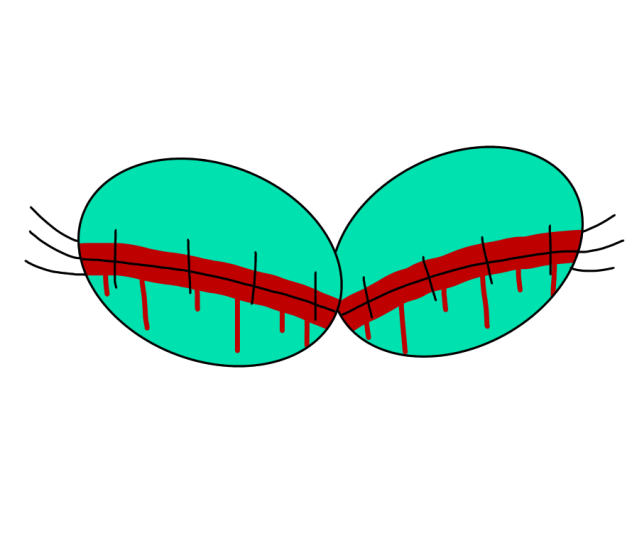 Lady K.exe's Eye
