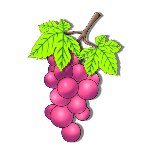 Grape fruit Sticker Red