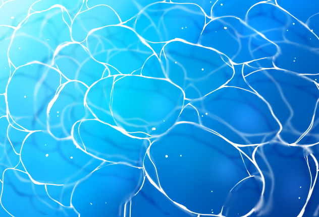 바다