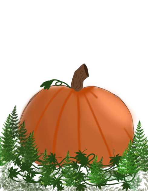 Halloween  pumpkin 🎃🖤