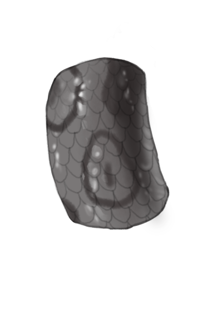 kind coloring 2023.03.22.0736