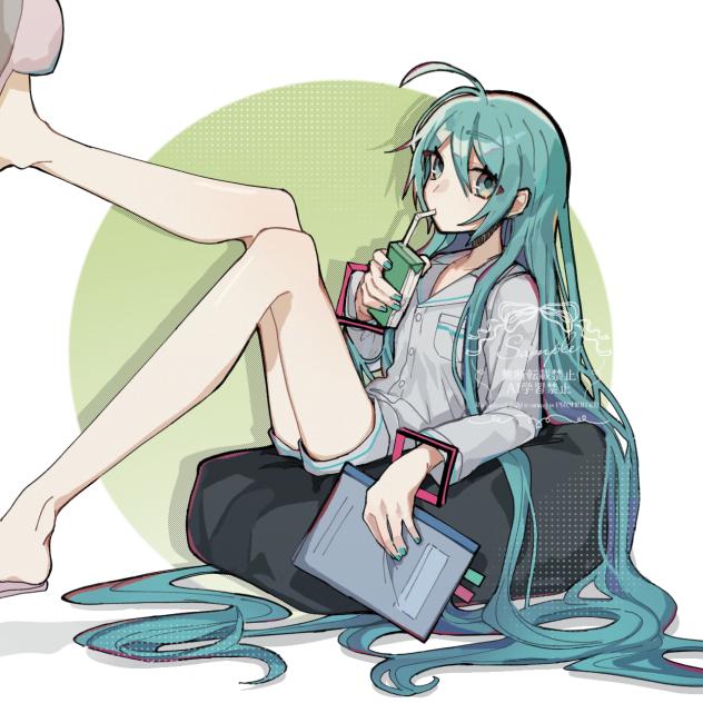 プライベートなミクさん