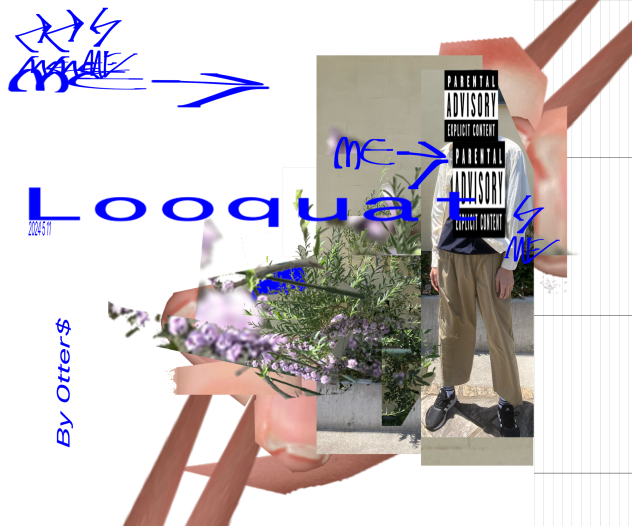 Looquat