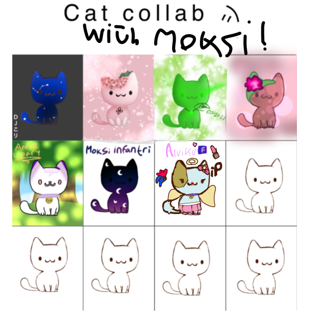 cat collab