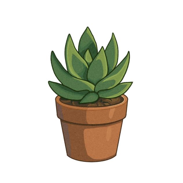 Succulent pot