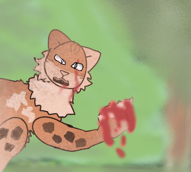 VERY OLD WARRIOR CATS DRAWING!!