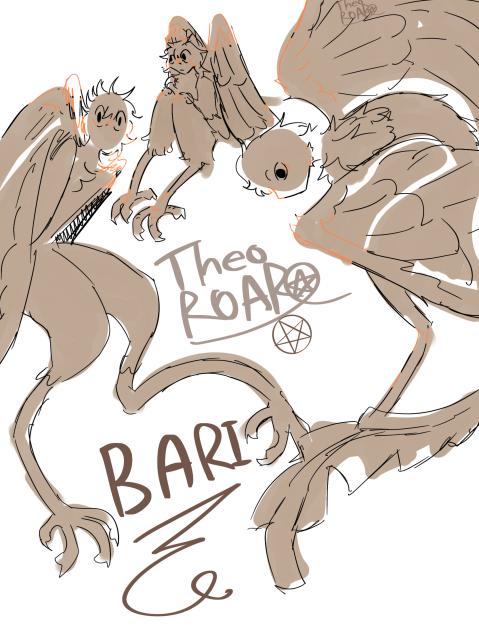 Bari silly